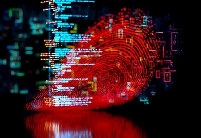 Bild IT Fingerabdruck
